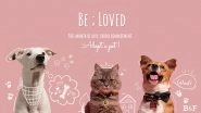 Business News | Boch & Fernsh Collaborates with Happy Tails and Pet Patch to Launch the Be; Loved Campaign