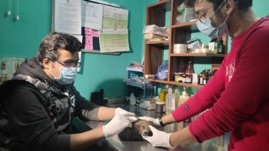 India News | Delhi Sees Another Dip in COVID Cases, Reports 804 Fresh Infections