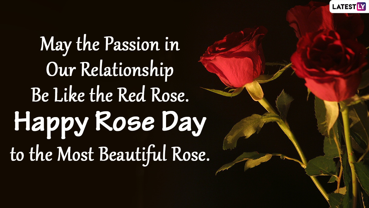 Happy Rose Day 2022 Greetings: Send Romantic Images, Love Shayaris ...