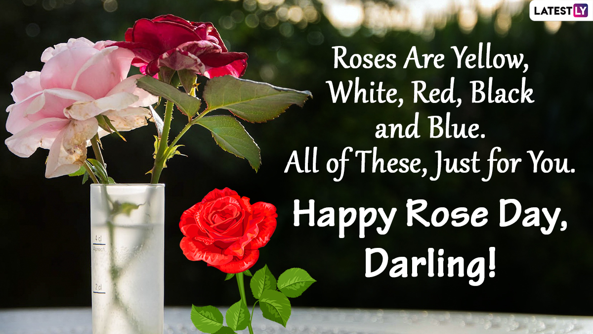 Happy Rose Day 2022 Greetings: Send Romantic Images, Love Shayaris, Wishes,  WhatsApp Stickers and HD Wallpapers to Your Soulmate | 🙏🏻 LatestLY