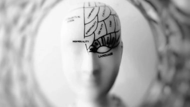 Science News | Study Finds Memory Formation Influenced by Brain Network Development in Young Age