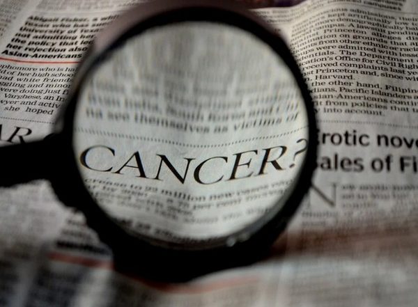 Artificial Sweeteners Not Safe, May Up Breast And Obesity Related Cancer Risk, Says Study