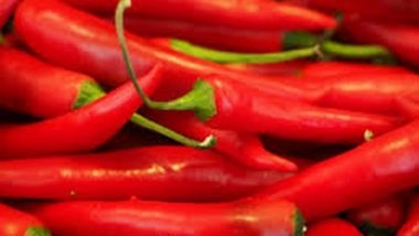 India News | Andhra Pradesh BJP Seeks Compensation for Chilli Farmers