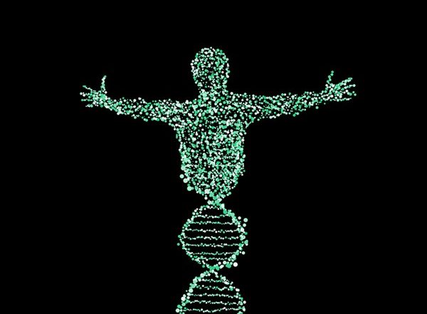Stress in Intestine Influences Chromosome Inheritance, Says Study