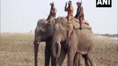 India News | Assam: Two Elephants Deployed to Chase Away Rhinoceros in Majuli