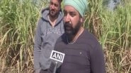 India News | Punjab Polls: 'Disappointed' Sugarcane Farmers Refuse to Vote, Says No Government Serious About Them