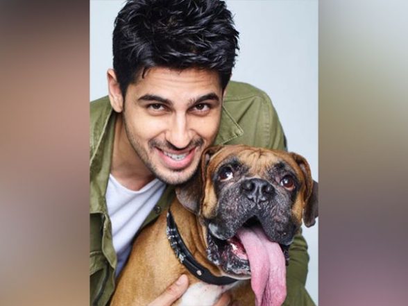 Entertainment News | 'He's Left a Massive Void in My Heart': Sidharth Malhotra Mourns Demise of Pet 'Oscar' - Vimarsana News