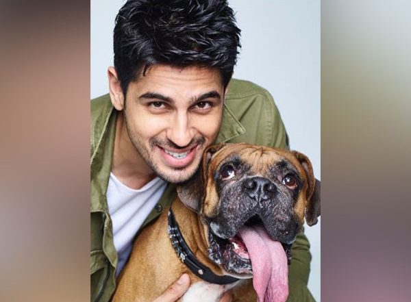 Entertainment News | 'He's Left a Massive Void in My Heart': Sidharth Malhotra Mourns Demise of Pet 'Oscar'