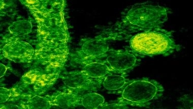 Health News | Antibiotics After Birth Affects Gut Microbes of Babies, Study Finds