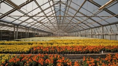 Science News | Study Finds Smart Greenhouses May Slash Electricity Costs
