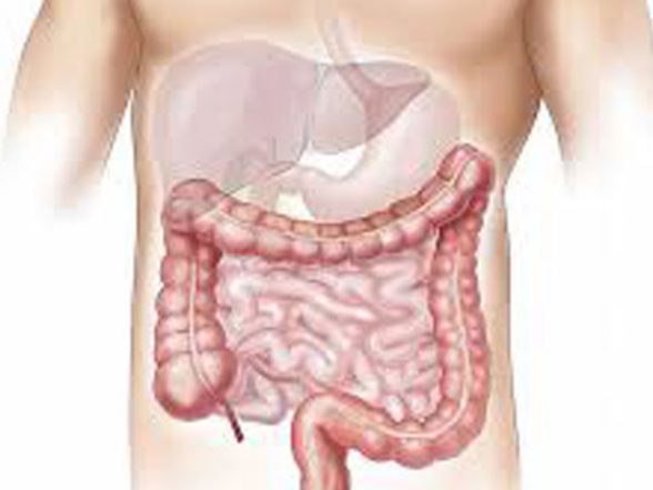 Health News | Study Finds Gut Health Gets Compromised in Severe COVID-19 - Vimarsana News