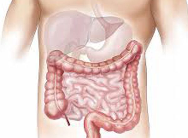 Health News | Study Finds Gut Health Gets Compromised in Severe COVID-19