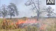 India News | Kaziranga National Park Carries out Controlled Burning of Forest