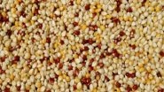 India News | Exports of Millets to Take Big Leap with New Markets, Budget Support