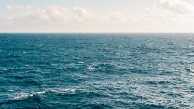 Science News | Study Finds Extreme Heat is the New Normal for Oceans