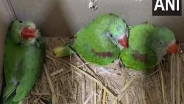 India News | Maharashtra: Five Held for Smuggling Endangered Birds, Animals from Nashik