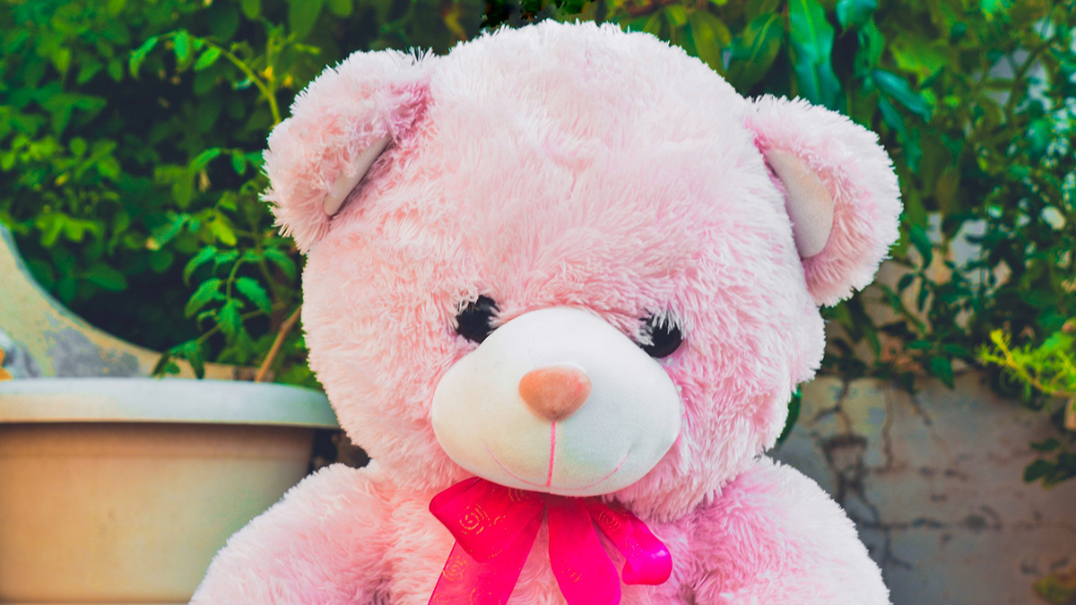 Teddy Day Date In Valentine's Week 2022: Know Why Soft Toys Are the ...