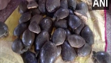 India News | Police Arrests Man with 426 Turtles from Gorakhpur Railway Station