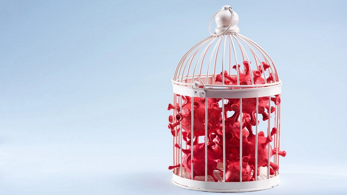 Lifestyle News What Is AntiBacterial Paint? Does It Really Work? 🛍️