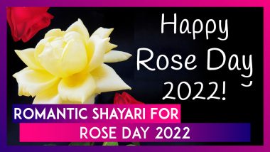 Rose Day 2022 Shayari: Romantic Love Sayings in Hindi, Messages and HD Images for Your Loved One