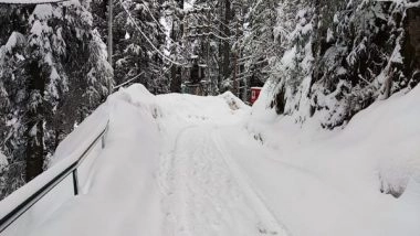 India News | Shimla Receives Fresh Spell of Snowfall