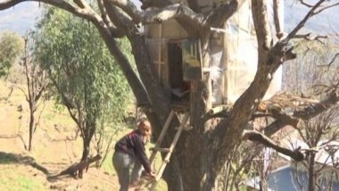 India News | Students Build Tree House to Beat Internet Connectivity Problems in J-K's Udhampur