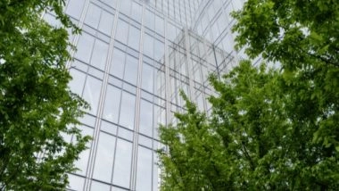 Lifestyle News | Having Greenery Around Hospitals Can Ease Confusion, Anger: Study