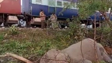 India News | Uttarakhand: Elephant Killed After Being Mowed Down by Train in Nainital