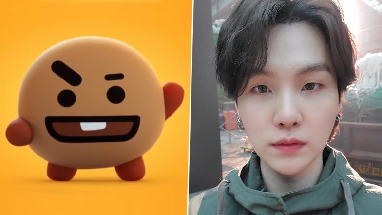 Chimmy Bt21 Characters, Bt21 Shooky Cooky