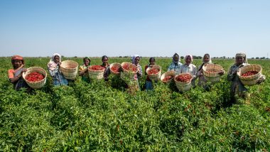 Central Sector Scheme Promoting Women Farmers, Says Report