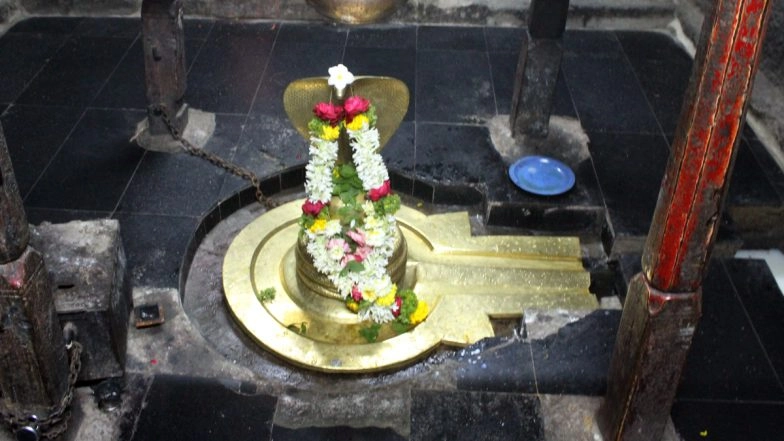 Shivling Uprooted, Brought to Court for Summon Before Raigarh Tehsil Court