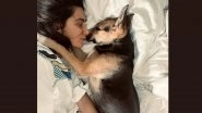 Shibani Dandekar Shares a Cute Picture With Her Pet Dog Tyson Akhtar, Says &lsquo;Never Known a Love Like This&rsquo;