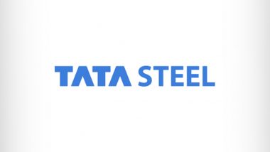 Tata Group Chief Natarajan Chandrasekaran Warns of UK Steel Plant Closures Without British Govt Subsidy Deal