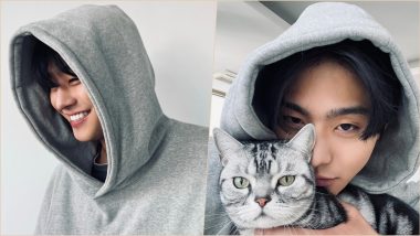 Business Proposal Star Ahn Hyo-seop Is a Cat Lover, Shares Adorable Pics on Instagram!