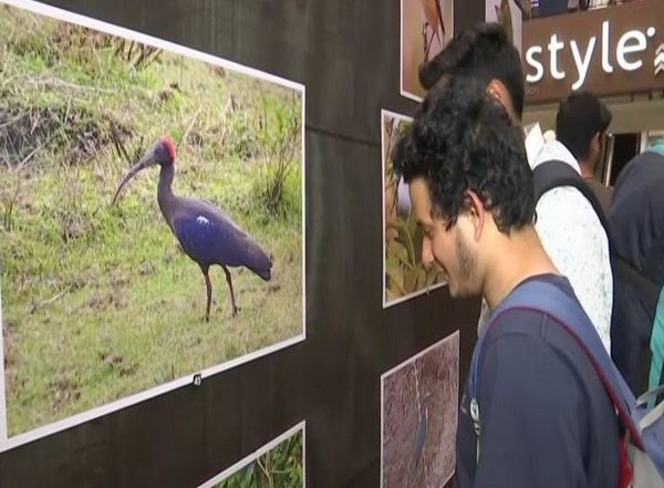 India News | Photography Exhibition as Part of North Bengal Bird Festival Begins in Siliguri