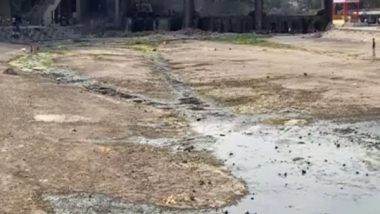 India News | As Summer Approaches, Godavari River Drying Up