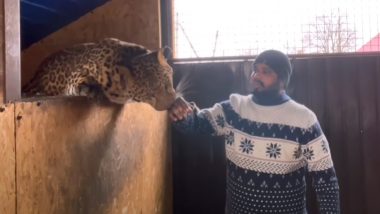 Andhra Pradesh Doctor Refuses to Abandon Two Pet Jaguars And Flee Ukraine
