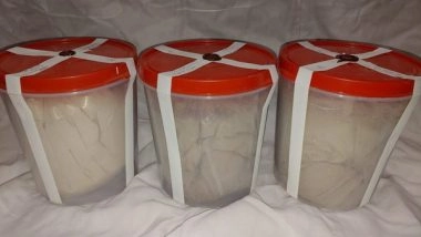 India News | Delhi: 2 Members of International Drug Cartel Held, 10 Kg Heroin Recovered