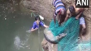 India News | Two-year-old Spotted Deer Rescued from Deep Well in Tamil Nadu's Coimbatore