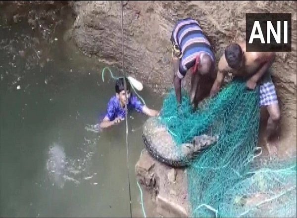 India News | Two-year-old Spotted Deer Rescued from Deep Well in Tamil Nadu's Coimbatore