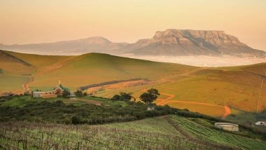 Most British People Want Farming To Be Less Cruel