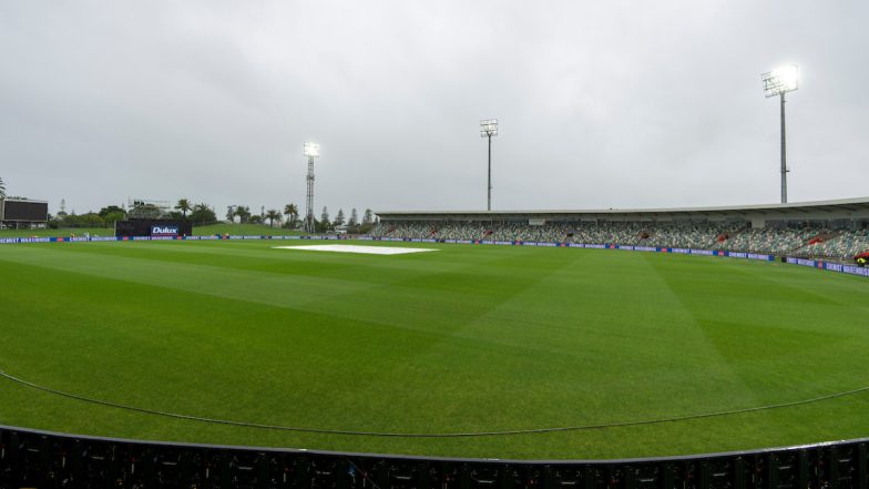 New Zealand vs Netherlands, Only T20I Abandoned Due to Rain