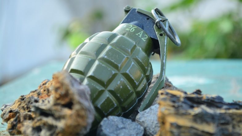 Jammu and Kashmir: Grenade Recovered From Poonch's Fazalabad Village, Explosive Safely Defused