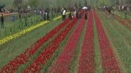 India News | Srinagar: Asia's Largest Tulip Garden Welcomes Thousands of Visitors on First Day