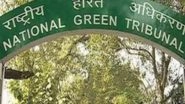 National Green Tribunal Seeks Report on Illegal Tree Felling in Sarai Kawaja Village in Faridabad