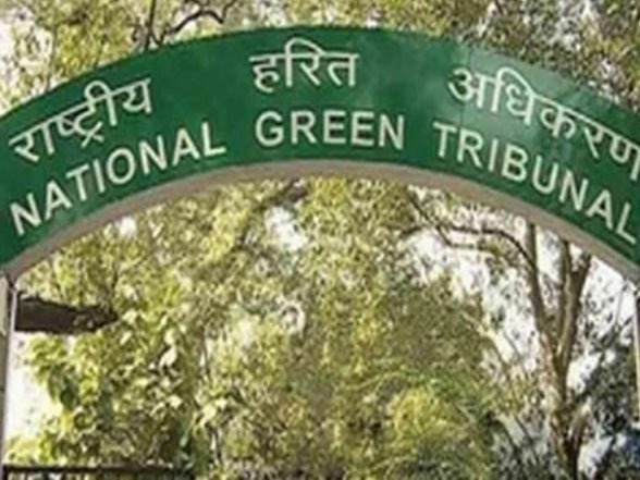 NGT Seeks Report on Illegal Tree Felling in Sarai Kawaja Village in Faridabad