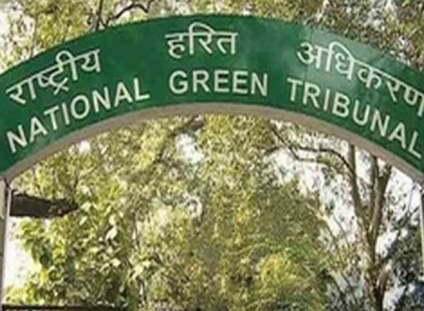 National Green Tribunal Seeks Report on Illegal Tree Felling in Sarai Kawaja Village in Faridabad