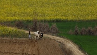 World News | Pak Finance Ministry Refuses Subsidy on Phosphatic, Potash Fertilizers