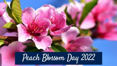 Peach Blossom Day 2022: Know Date, History, Significance and Symbolism of Peach Tree To Celebrate the Special Festival of China