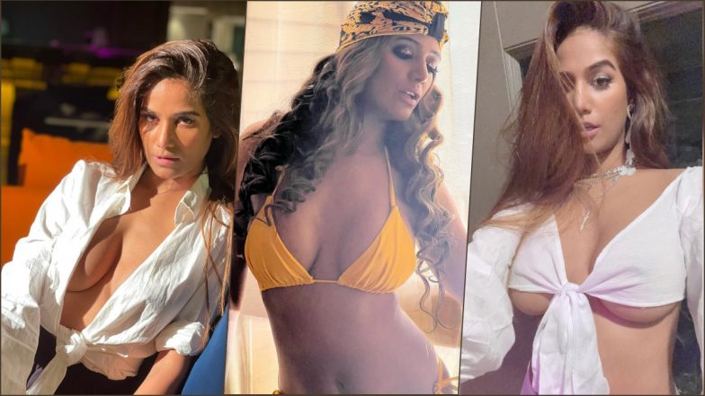 Vvv Hot Xxx Videos - Poonam Pandey HOT Pics & Videos: From Sexy Cleavage Photos To XXX-Tra  Steamy Clips, Indian OnlyFans Queen and Lock Upp Contestant Bares and  Shares it All! | ðŸ›ï¸ LatestLY